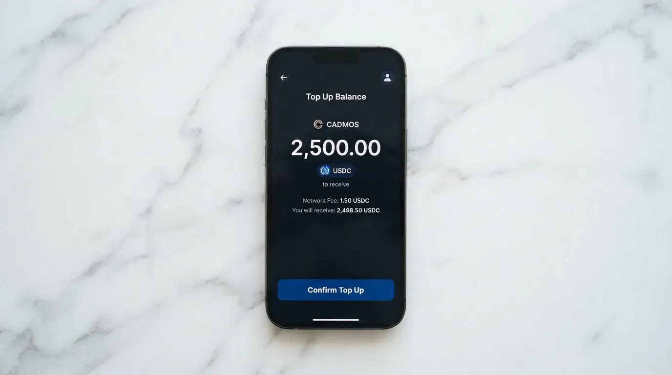 A phone showing a stablecoin transfer screen
